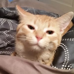 Meet your Posher, Nichole